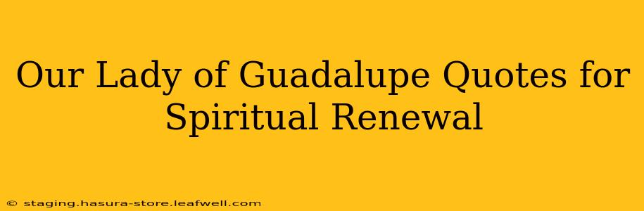 Our Lady of Guadalupe Quotes for Spiritual Renewal
