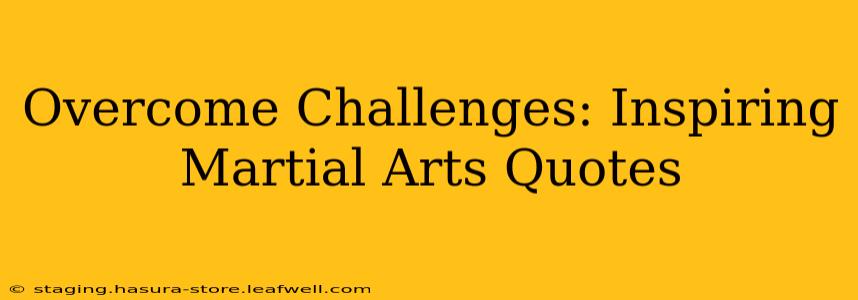 Overcome Challenges: Inspiring Martial Arts Quotes