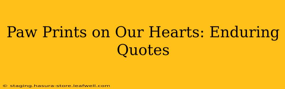Paw Prints on Our Hearts: Enduring Quotes