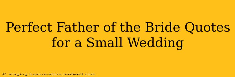 Perfect Father of the Bride Quotes for a Small Wedding