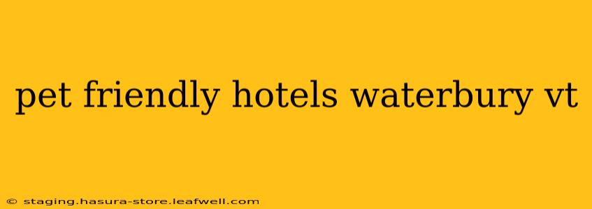 pet friendly hotels waterbury vt