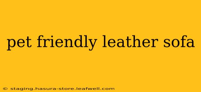 pet friendly leather sofa