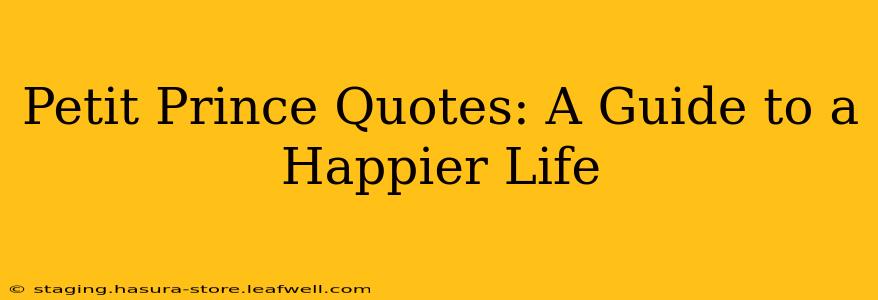 Petit Prince Quotes: A Guide to a Happier Life