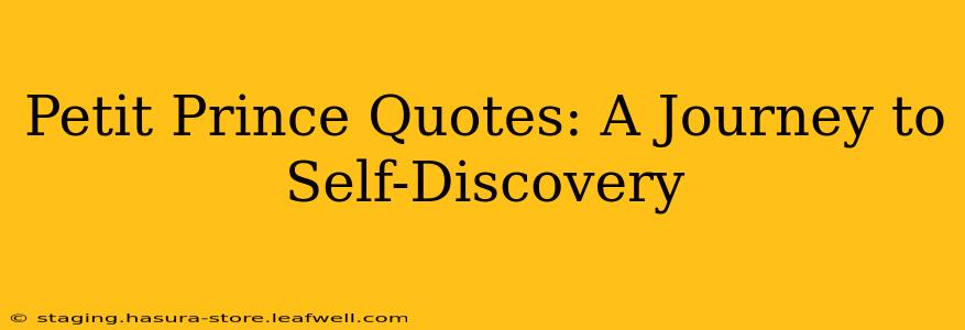 Petit Prince Quotes: A Journey to Self-Discovery