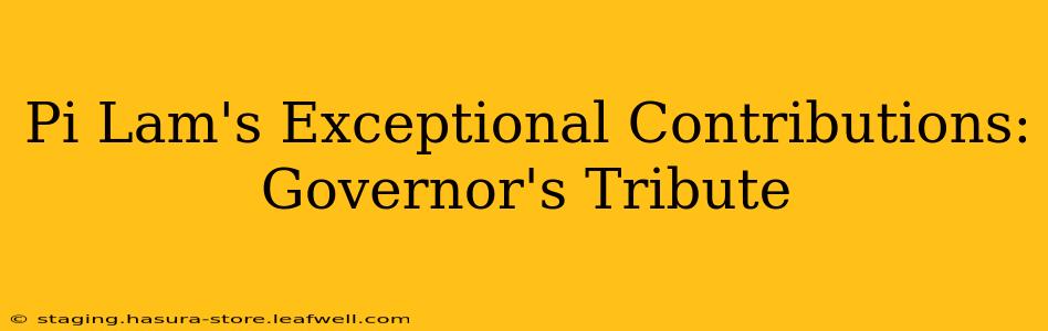 Pi Lam's Exceptional Contributions: Governor's Tribute