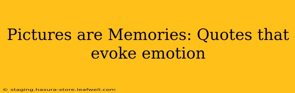 Pictures are Memories: Quotes that evoke emotion