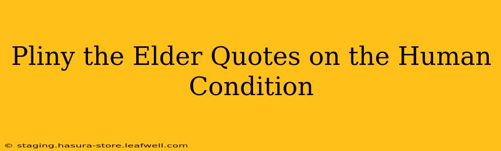 Pliny the Elder Quotes on the Human Condition