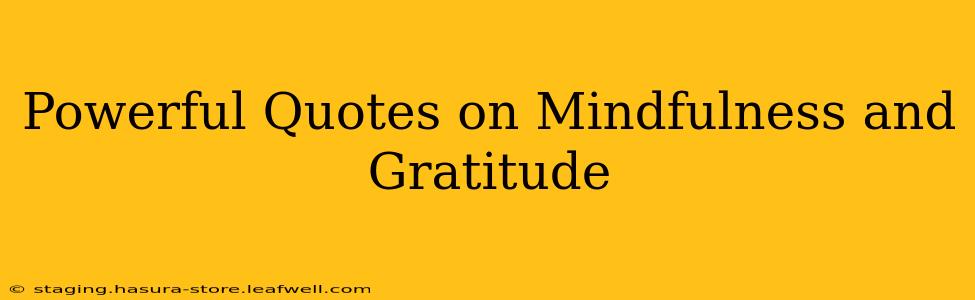 Powerful Quotes on Mindfulness and Gratitude