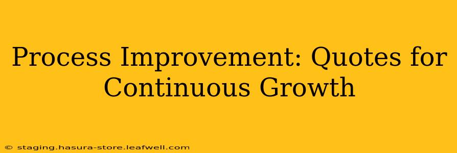 Process Improvement: Quotes for Continuous Growth