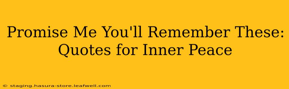 Promise Me You'll Remember These: Quotes for Inner Peace