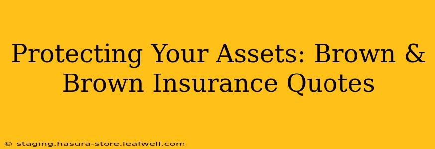 Protecting Your Assets: Brown & Brown Insurance Quotes