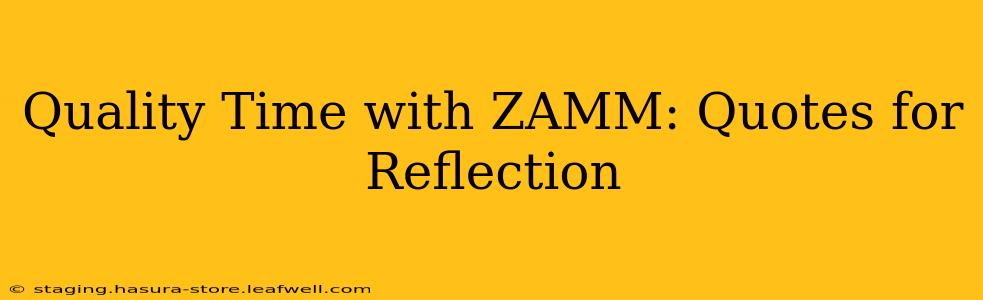 Quality Time with ZAMM: Quotes for Reflection