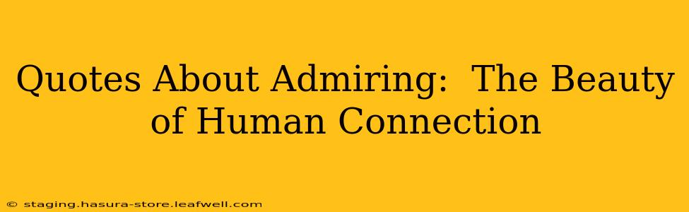 Quotes About Admiring:  The Beauty of Human Connection