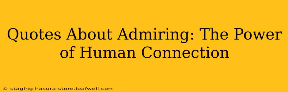 Quotes About Admiring: The Power of Human Connection