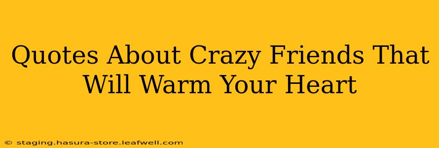 Quotes About Crazy Friends That Will Warm Your Heart