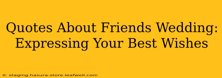 Quotes About Friends Wedding: Expressing Your Best Wishes