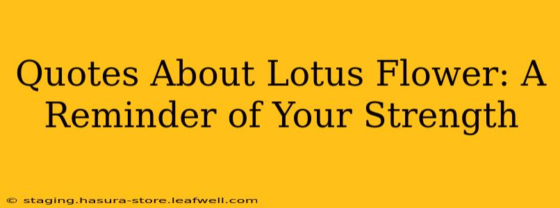 Quotes About Lotus Flower: A Reminder of Your Strength
