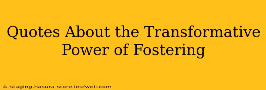 Quotes About the Transformative Power of Fostering