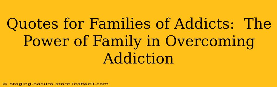 Quotes for Families of Addicts:  The Power of Family in Overcoming Addiction