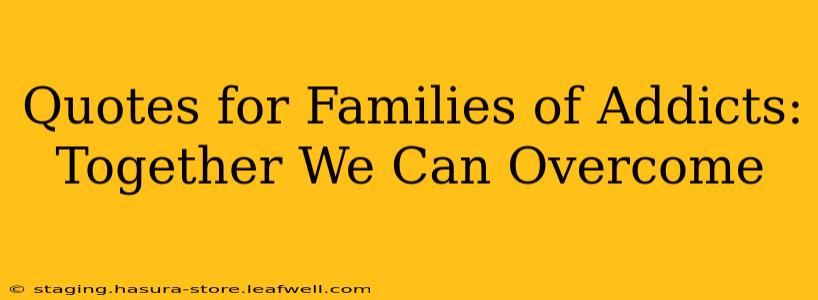 Quotes for Families of Addicts:  Together We Can Overcome