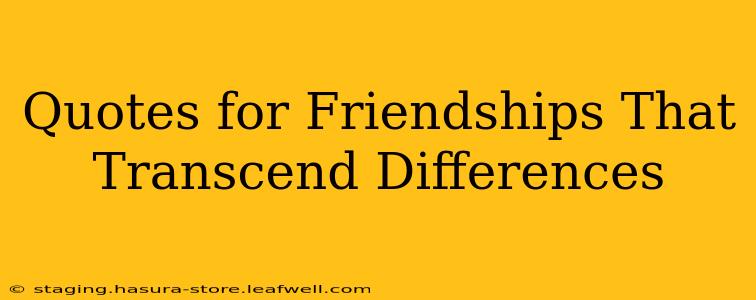 Quotes for Friendships That  Transcend Differences