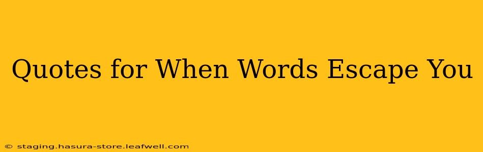 Quotes for When Words Escape You