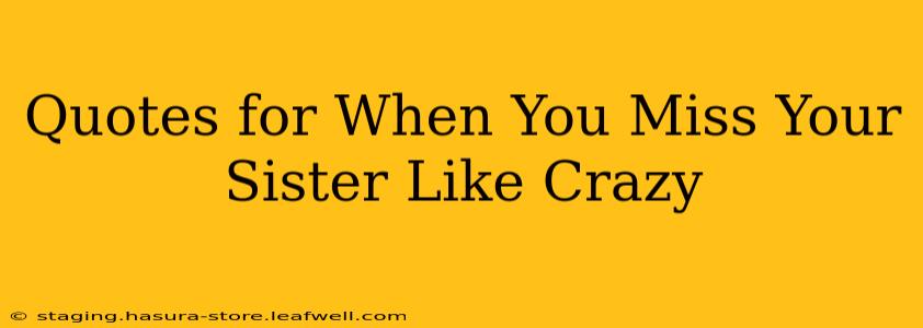 Quotes for When You Miss Your Sister Like Crazy