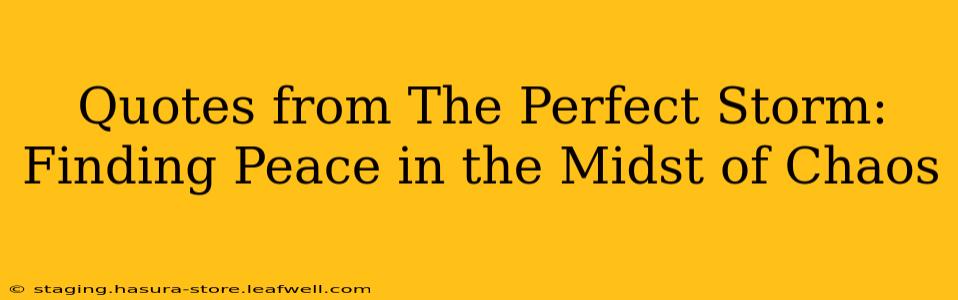 Quotes from The Perfect Storm:  Finding Peace in the Midst of Chaos