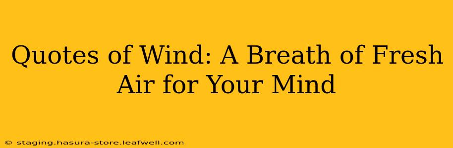 Quotes of Wind: A Breath of Fresh Air for Your Mind