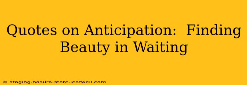 Quotes on Anticipation:  Finding Beauty in Waiting