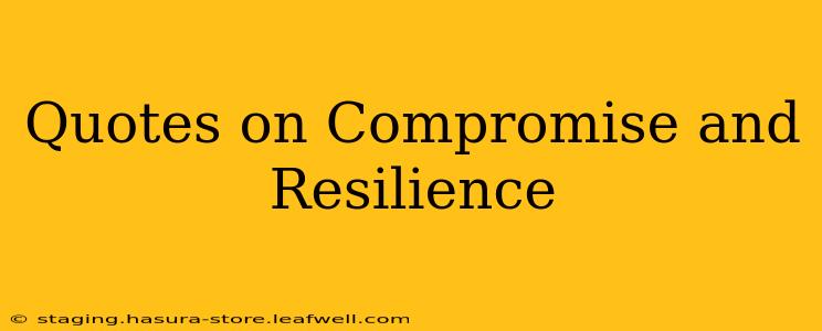 Quotes on Compromise and Resilience