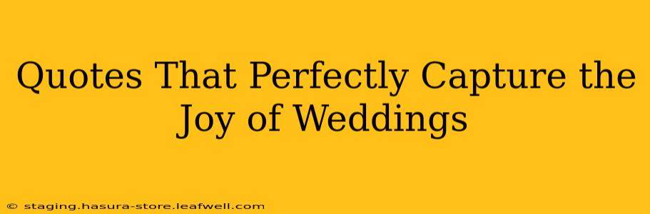 Quotes That Perfectly Capture the Joy of Weddings