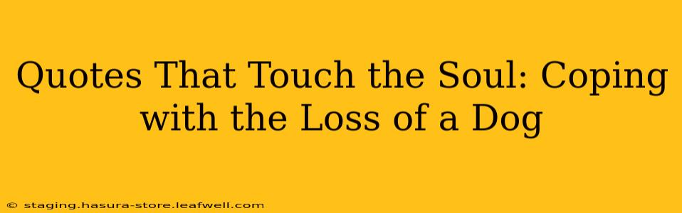 Quotes That Touch the Soul: Coping with the Loss of a Dog