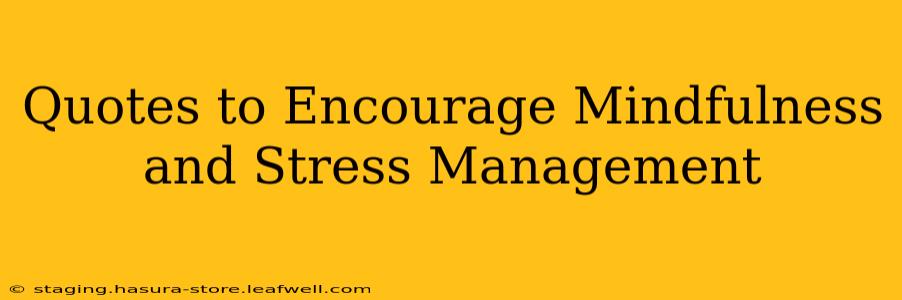 Quotes to Encourage Mindfulness and Stress Management