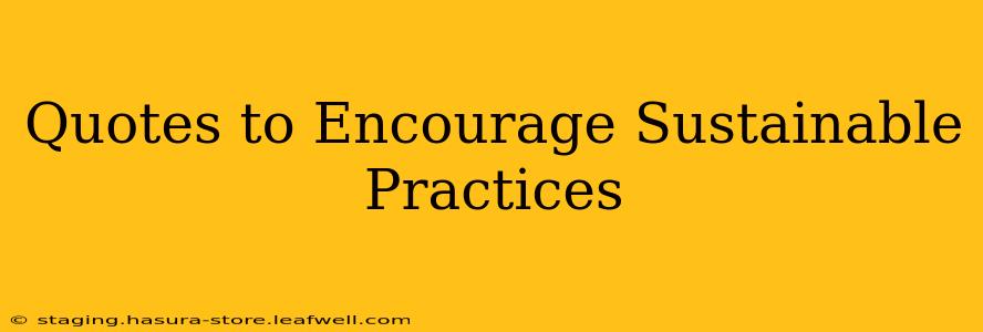Quotes to Encourage Sustainable Practices