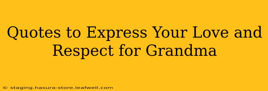 Quotes to Express Your Love and Respect for Grandma