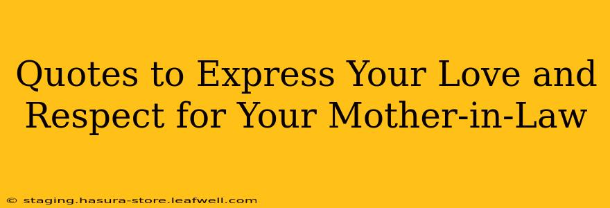 Quotes to Express Your Love and Respect for Your Mother-in-Law