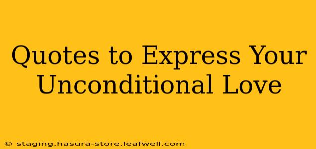 Quotes to Express Your Unconditional Love