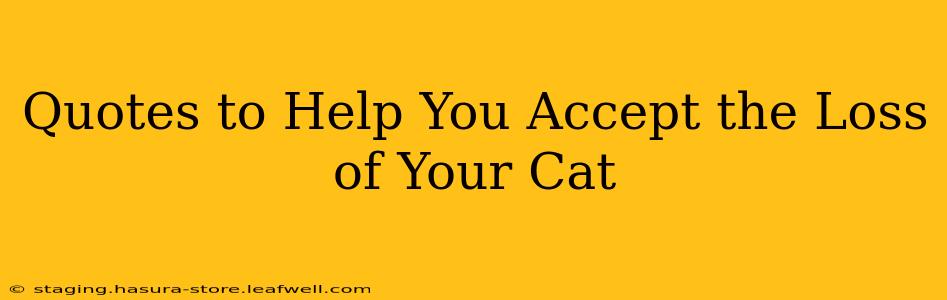 Quotes to Help You Accept the Loss of Your Cat