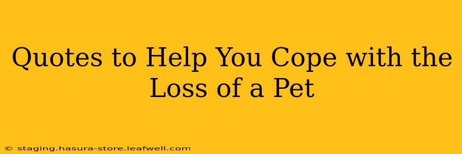 Quotes to Help You Cope with the Loss of a Pet