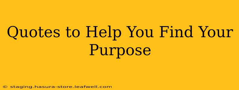 Quotes to Help You Find Your Purpose