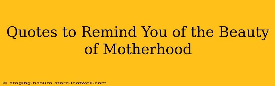 Quotes to Remind You of the Beauty of Motherhood