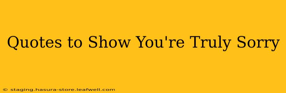 Quotes to Show You're Truly Sorry