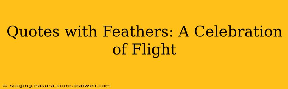 Quotes with Feathers: A Celebration of Flight