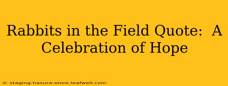 Rabbits in the Field Quote:  A Celebration of Hope