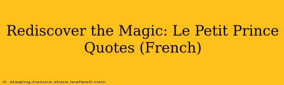 Rediscover the Magic: Le Petit Prince Quotes (French)