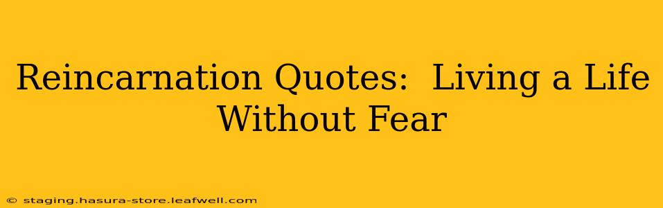 Reincarnation Quotes:  Living a Life Without Fear