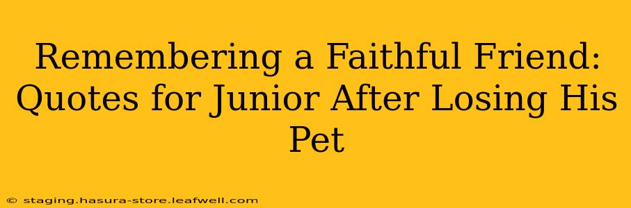 Remembering a Faithful Friend: Quotes for Junior After Losing His Pet