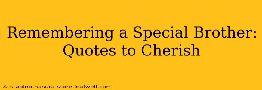 Remembering a Special Brother: Quotes to Cherish