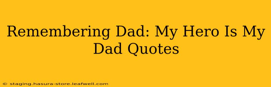 Remembering Dad: My Hero Is My Dad Quotes